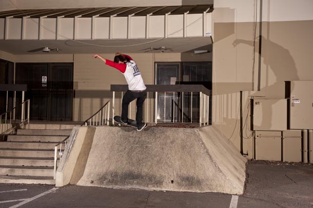 PHXamBird2 8front_feebs8