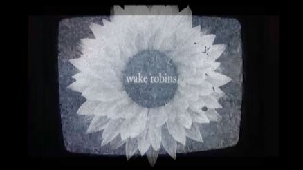 Wake Robins' "Wheel of Sharp Weapons" Video