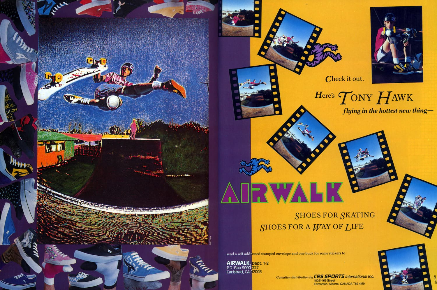 airwalk shoes canada