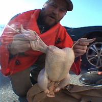 P-Stone&#039;s &quot;Ol&#039; Beer Can Chicken&quot; Video