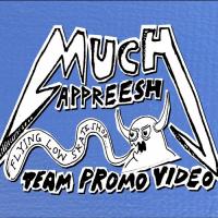 Flying Low Skateshop&#039;s &quot;Much Appreesh&quot; Video