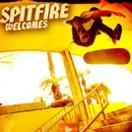 Spitfire Welcomes Andrew Reynolds