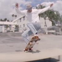 Converse x Polar &quot;LA Days&quot; Video