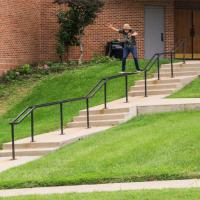 Dave Mull&#039;s &quot;Rewild&quot; Part